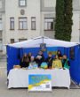 zhmerynka.online