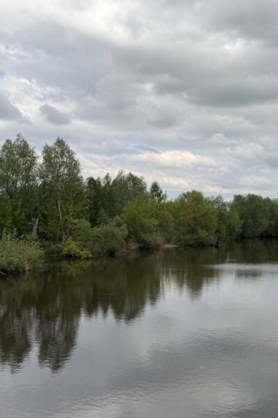 zhmerynka.online