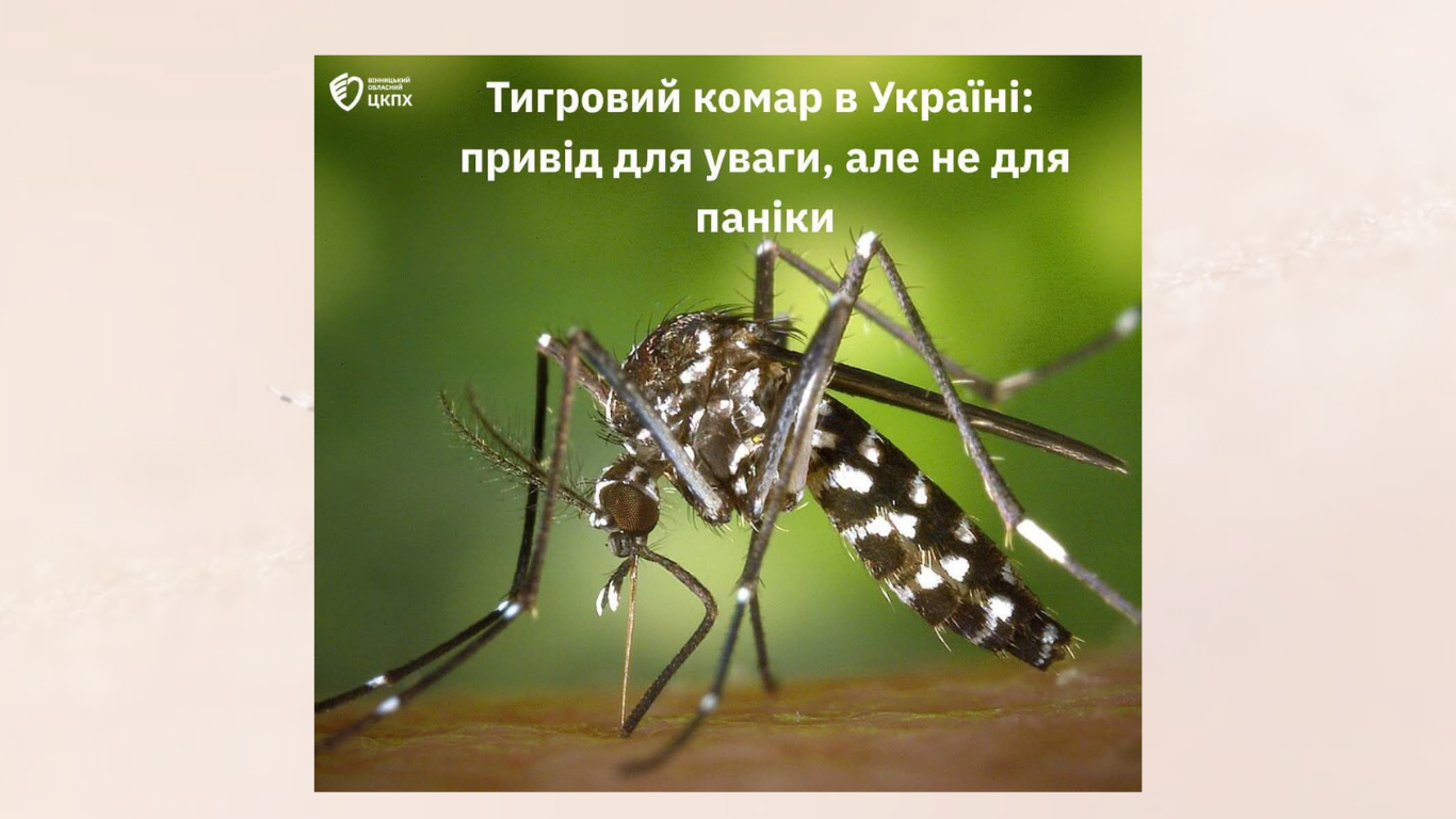 В Україні розширюється ареал тигрового комара: як захистити себе від укусів