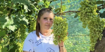 zhmerynka.online